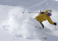 Skier